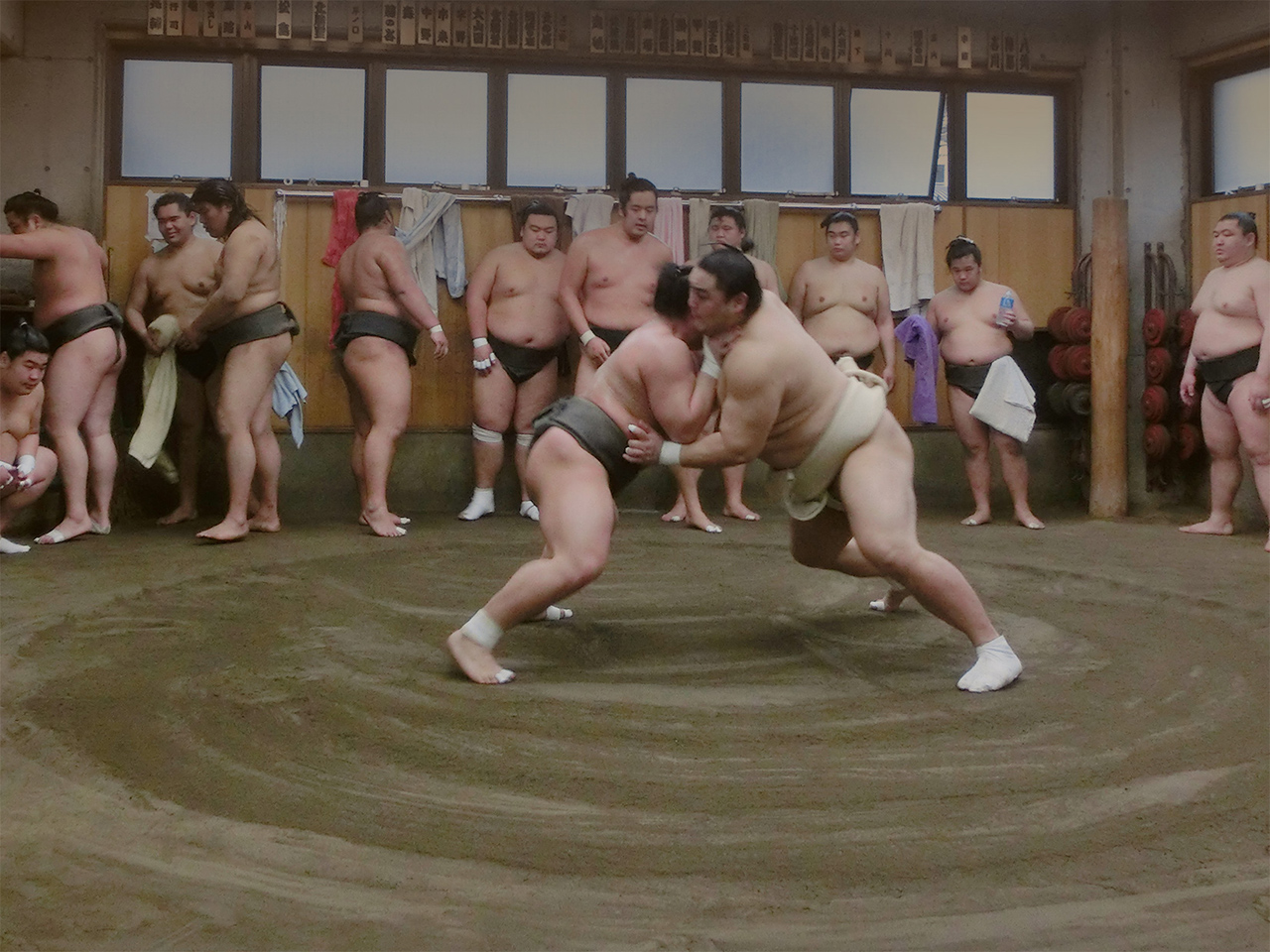 Sumo Wrestlers Morning Training Tour