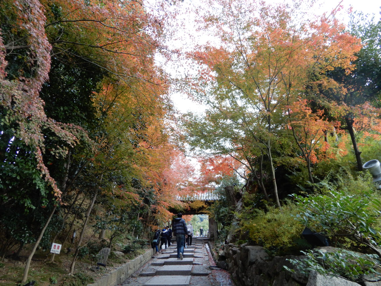 Kodai-ji Zen Temple,Kyoto