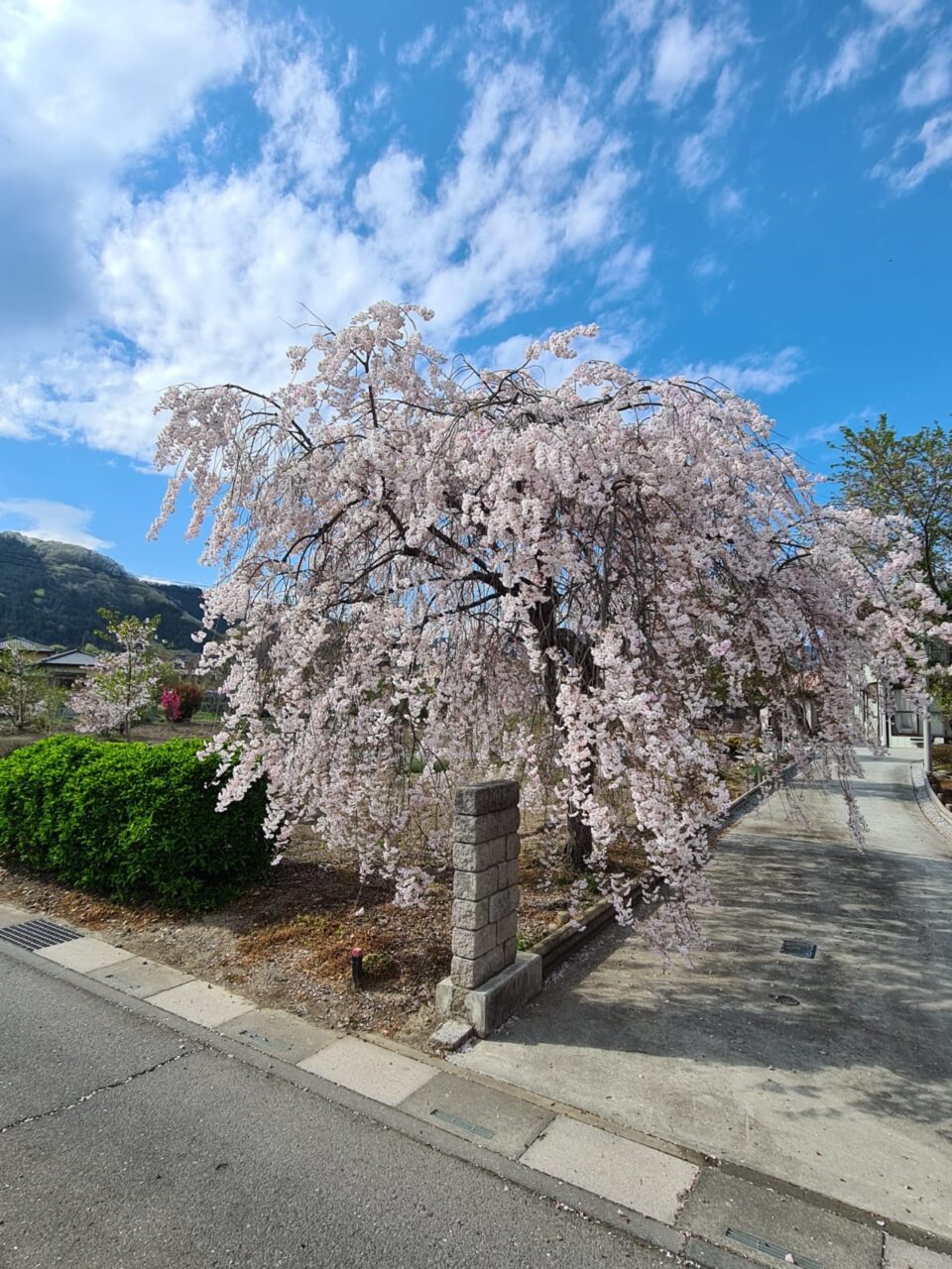 Die 3 größten Gefahren im Straßenverkehr im Frühling 🌸